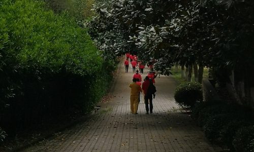Political Stakes of Cancer Series – Episode 4: Fighting Cancer with Qigong: An Ethnography of Patient Activism in China